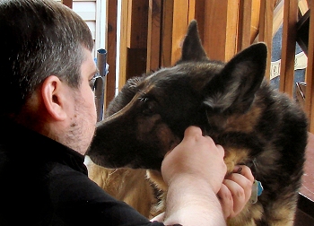 shep-09.jpg