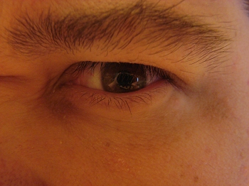 looking.jpg